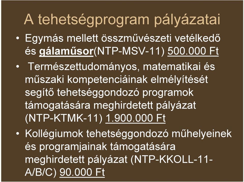 tehetséggondozó programok támogatására meghirdetett pályázat (NTP-KTMK-11) 1.900.