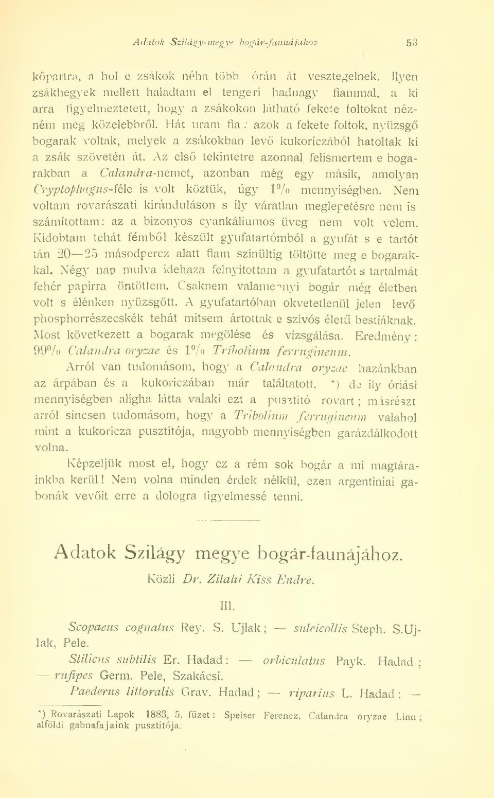 Hát uram fia : azok a fekete foltok, nyüzsg bogarak voltak, melyek a zsákokban lev kukoriczából hatoltak ki a zsák szövetén át.