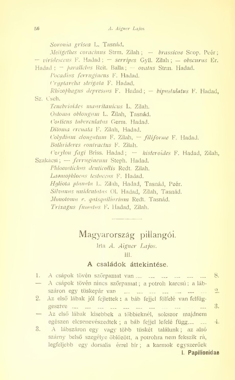 Corticus tuberculatus Germ. Hadad. Ditonia crenata F. Zilah, Hadad. bipustulatus F. Hadad, Colydium dongatnia F. Zilah, filiforme F. Hadad. Bothiideres contractus F. Zilah. ( 'eiylon fagi Briss.