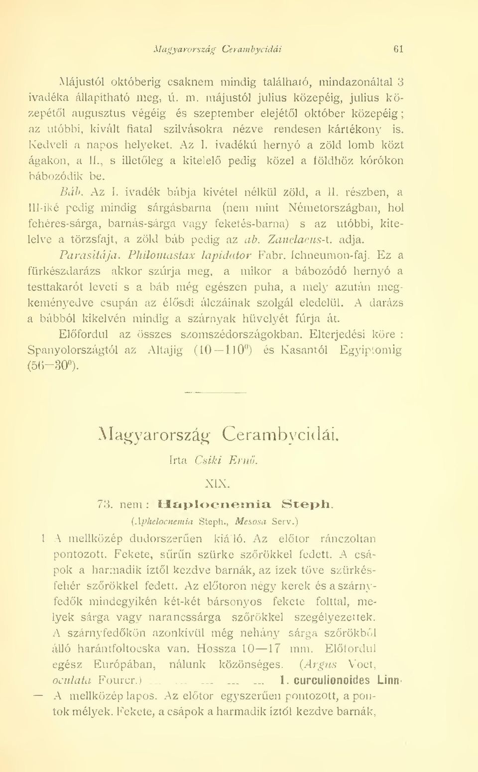 Kedveli a napos helyeket. Az I. ivadékú hernyó a zöld lomb közt ágakon, a II., s illetleg a kitelel pedig közel a íöldhöz kórókon bábozódik be. Báb. Az í. ivadék bábja kivétel nélkül zöld, a II.