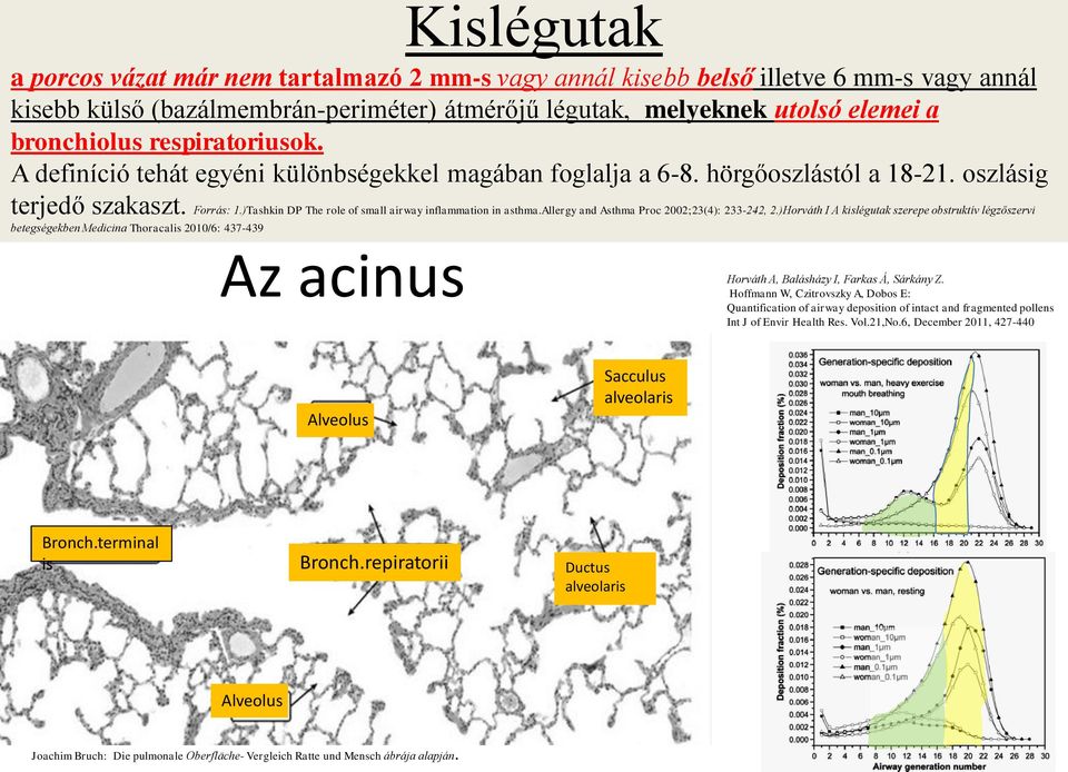 )Tashkin DP The role of small airway inflammation in asthma.allergy and Asthma Proc 2002;23(4): 233-242, 2.