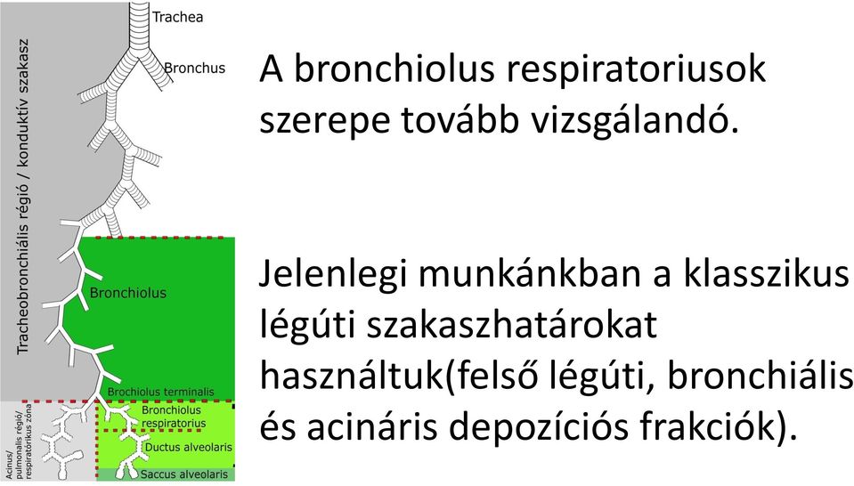 Jelenlegi munkánkban a klasszikus légúti