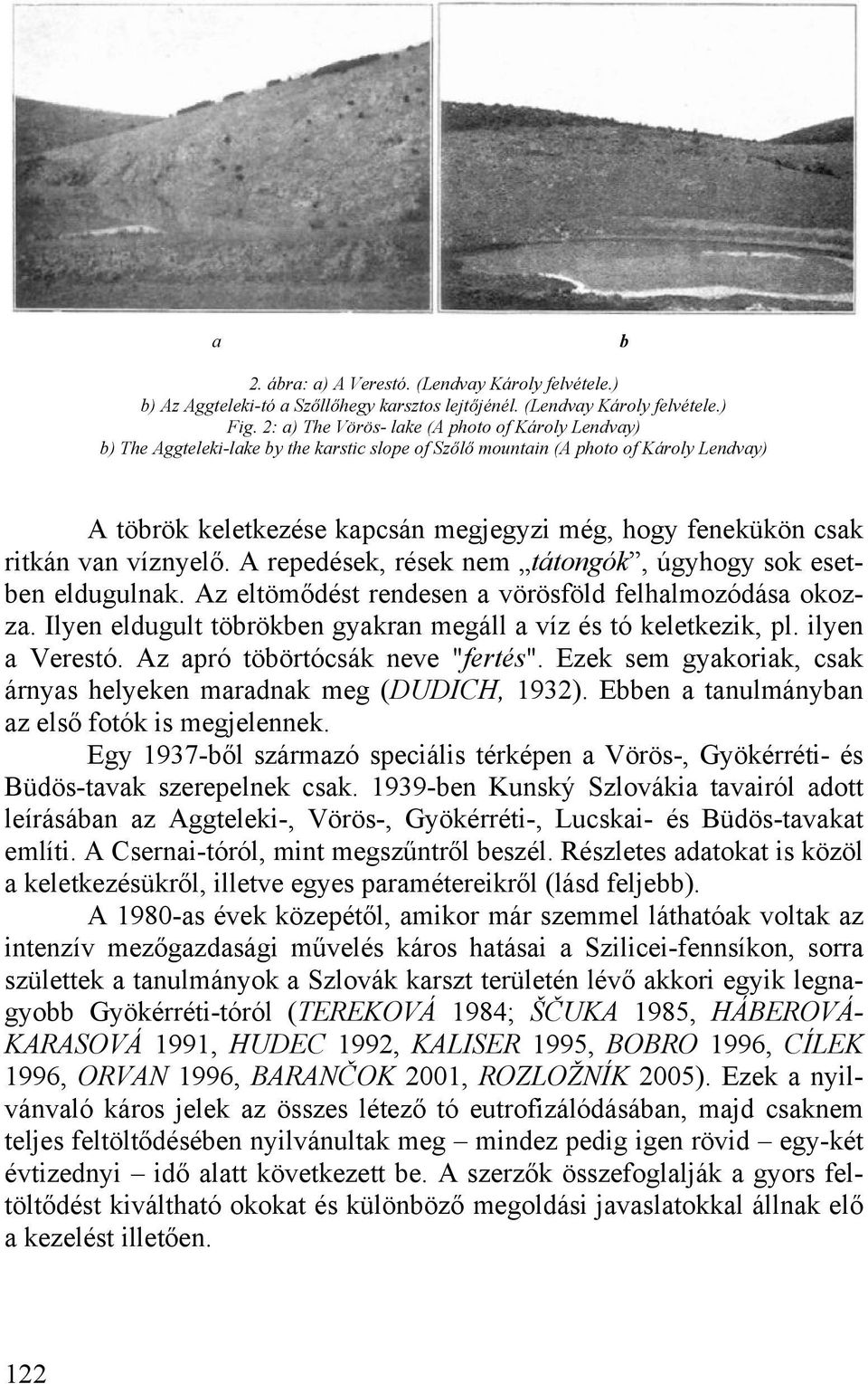 csak ritkán van víznyelő. A repedések, rések nem tátongók, úgyhogy sok esetben eldugulnak. Az eltömődést rendesen a vörösföld felhalmozódása okozza.