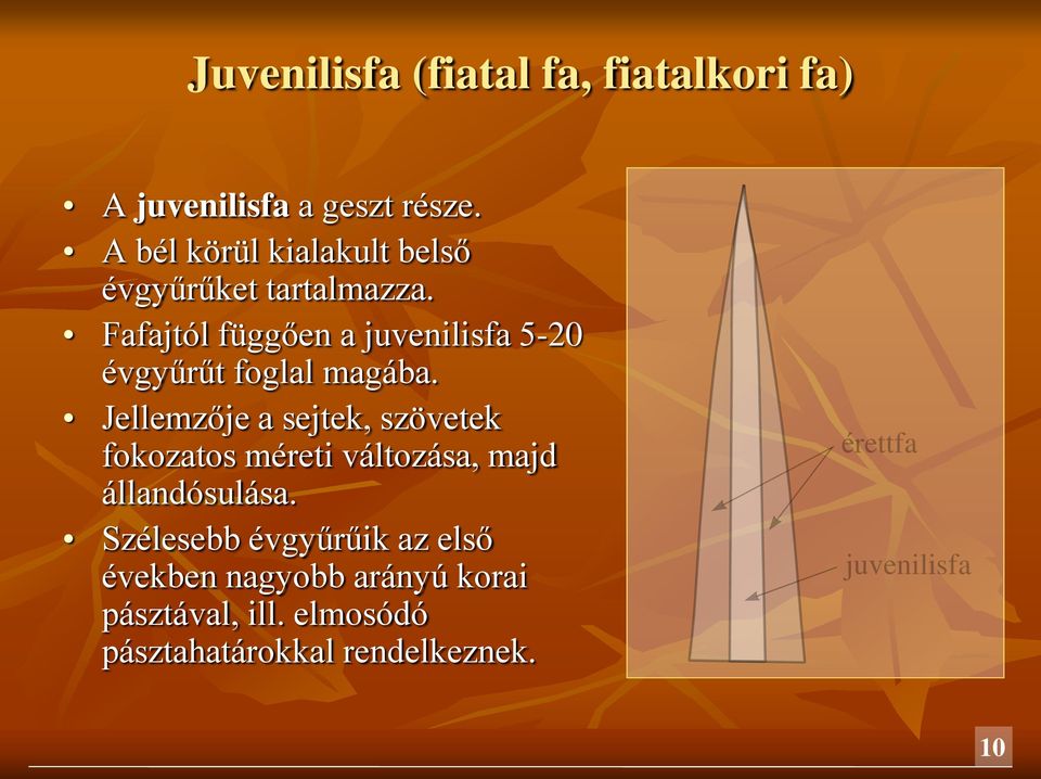 Fafajtól függően a juvenilisfa 5-20 évgyűrűt foglal magába.