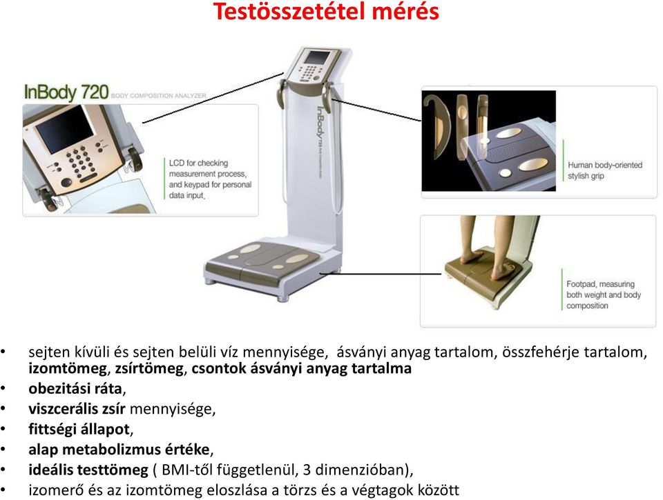 viszcerális zsír mennyisége, fittségi állapot, alap metabolizmus értéke, ideális testtömeg (