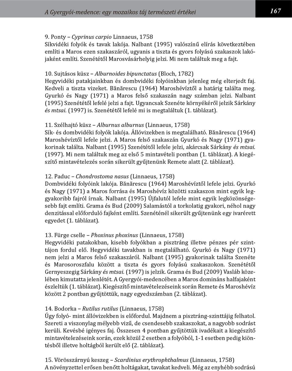 Mi nem találtuk meg a fajt. 10. Sujtásos küsz Alburnoides bipunctatus (Bloch, 1782) Hegyvidéki patakjainkban és dombvidéki folyóinkban jelenleg még elterjedt faj. Kedveli a tiszta vizeket.