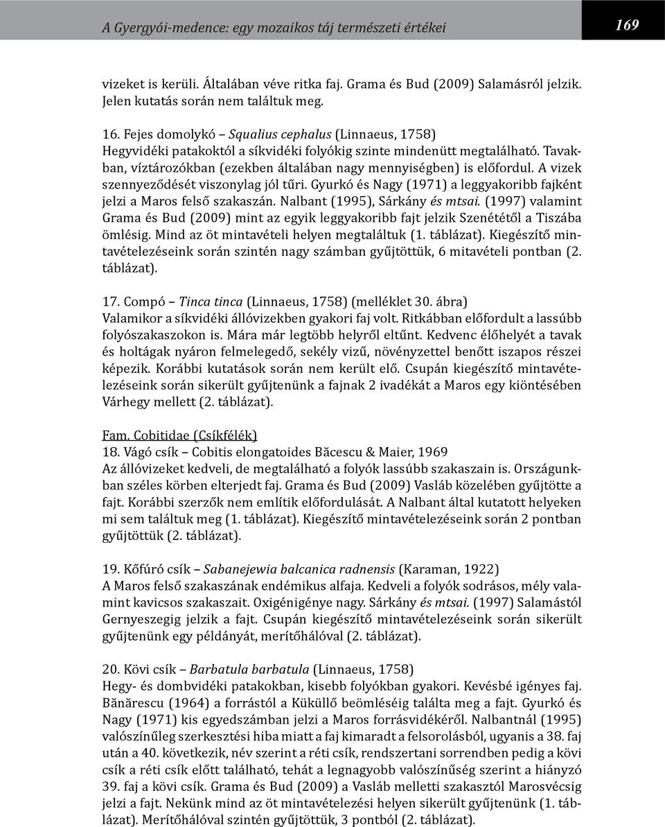 Nalbant (1995), Sárkány és mtsai. (1997) valamint Grama és Bud (2009) mint az egyik leggyakoribb fajt jelzik Szenététől a Tiszába ömlésig. Mind az öt mintavételi helyen megtaláltuk (1. táblázat).