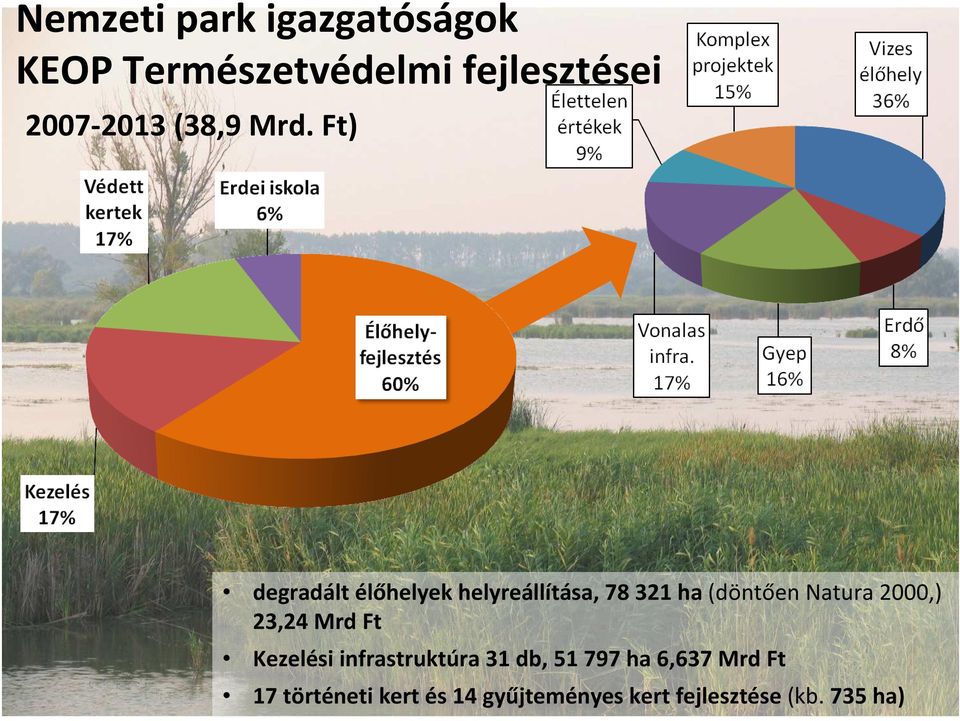 Ft) degradált élőhelyek helyreállítása, 78 321 ha (döntően Natura