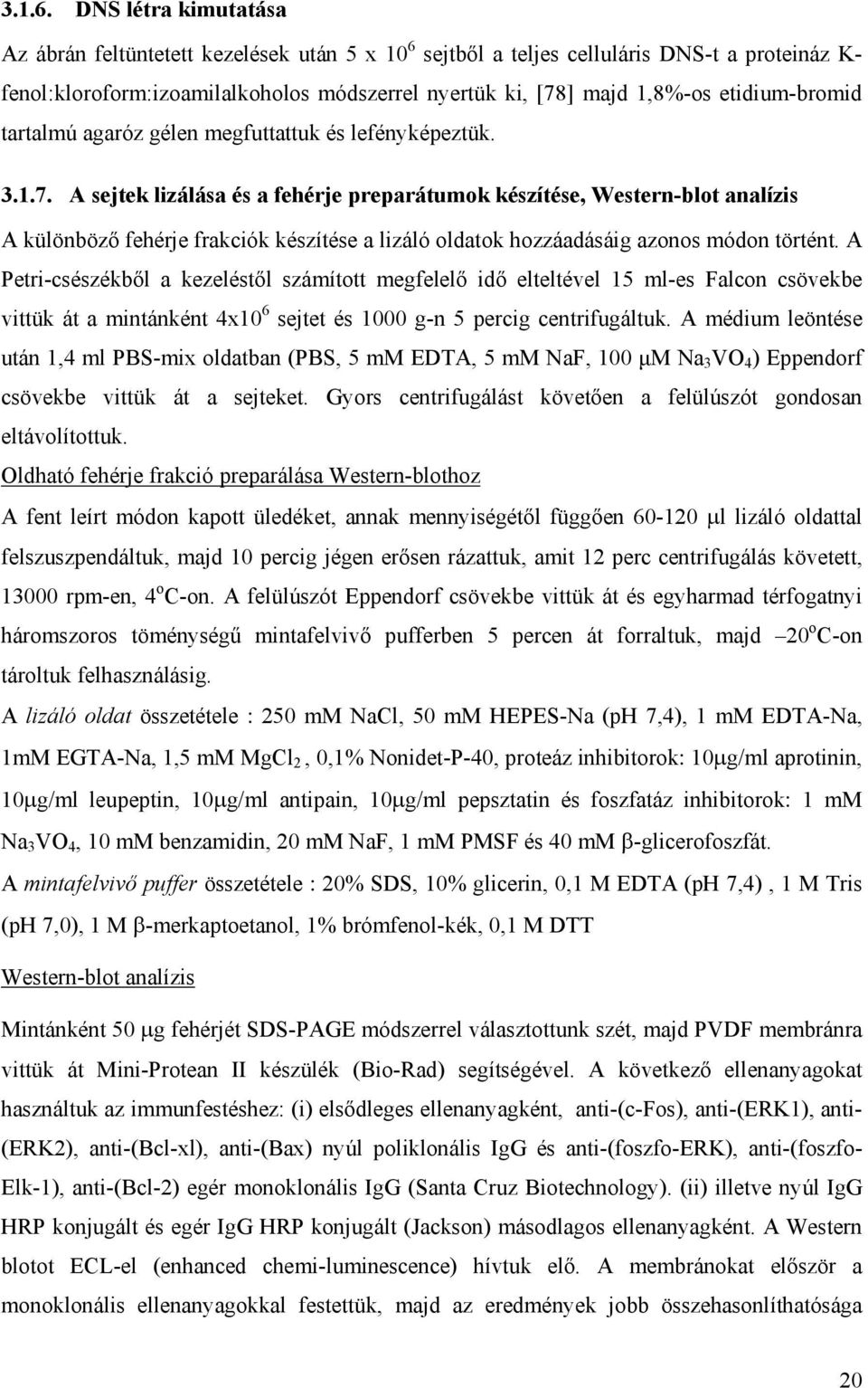 etidium-bromid tartalmú agaróz gélen megfuttattuk és lefényképeztük. 3.1.7.