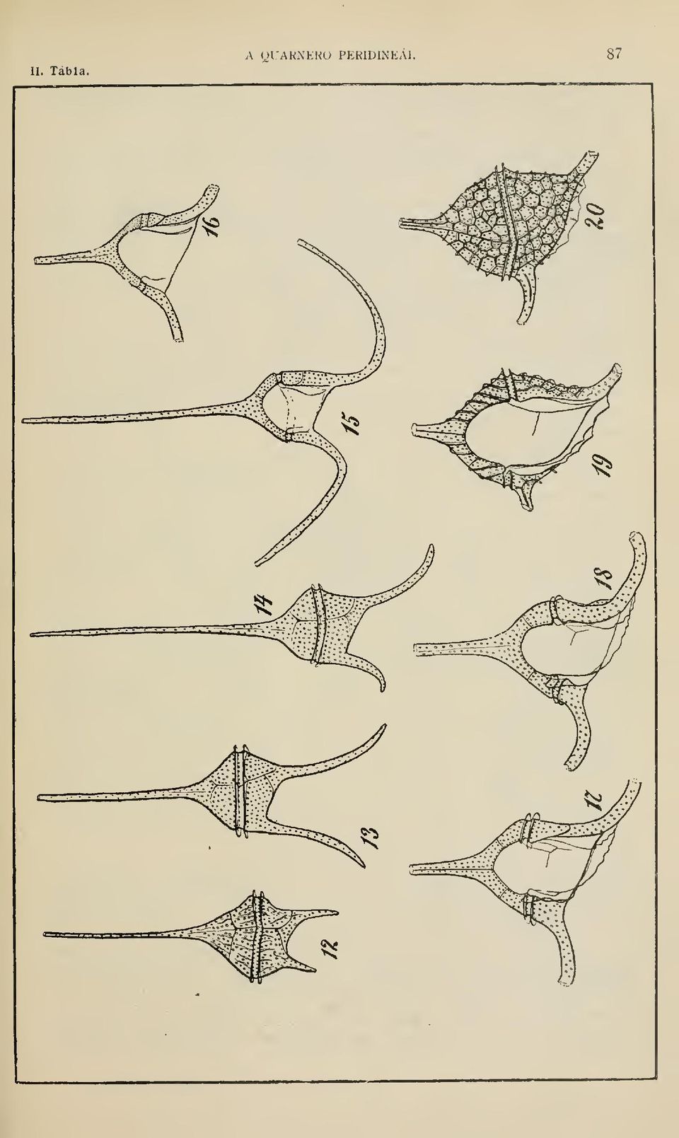 QURNERO