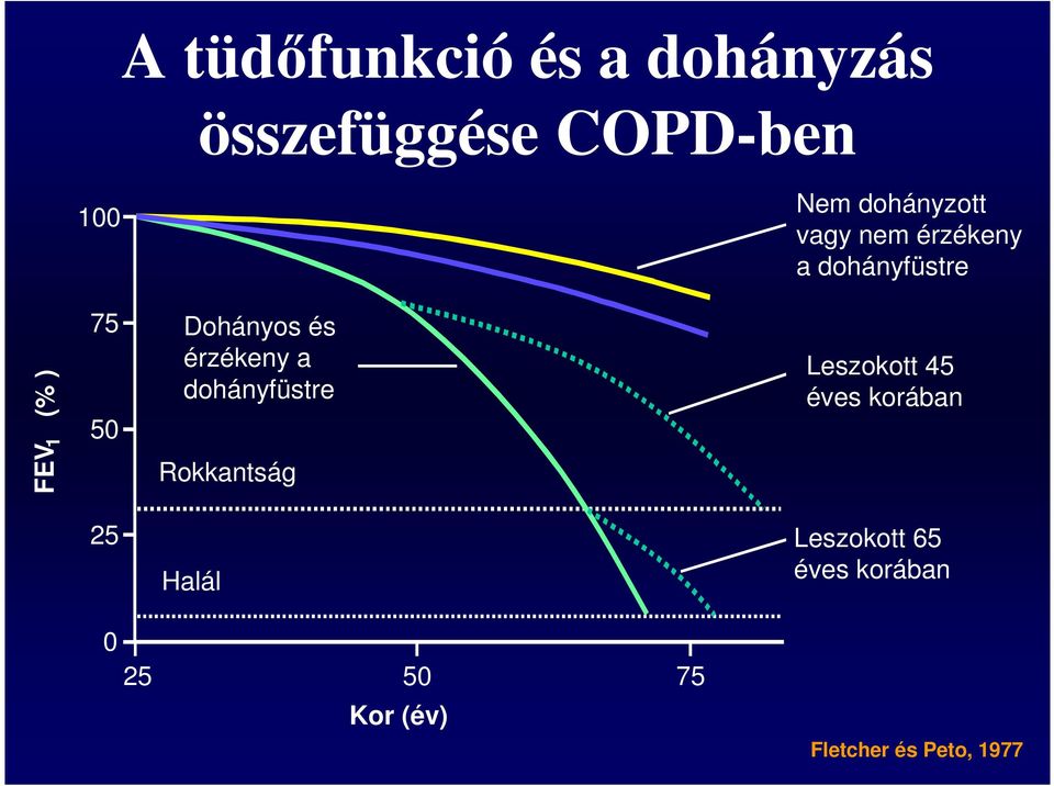 Dohányos és érzékeny a dohányfüstre Rokkantság Leszokott 45 éves