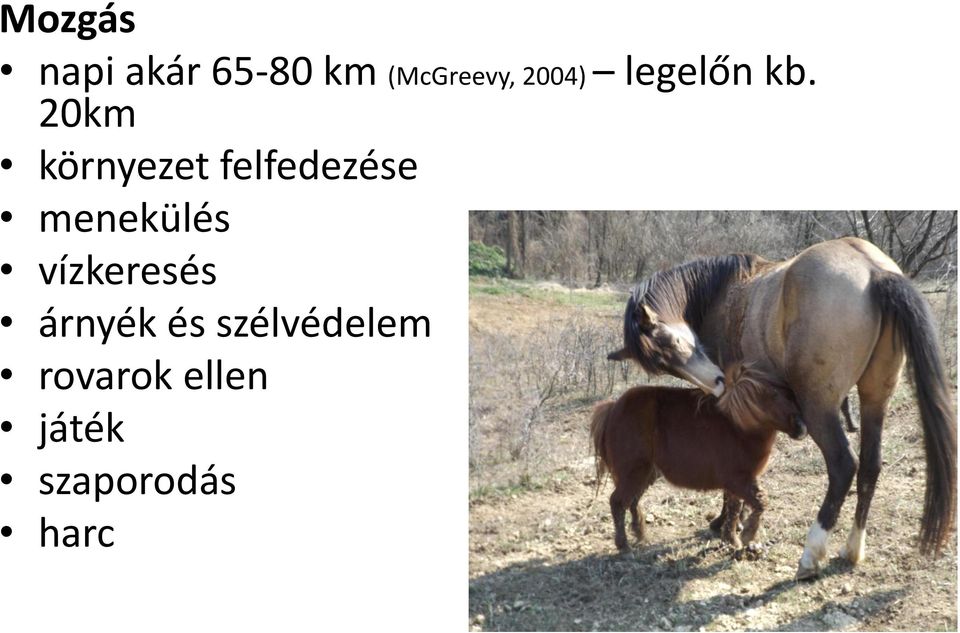 20km környezet felfedezése menekülés