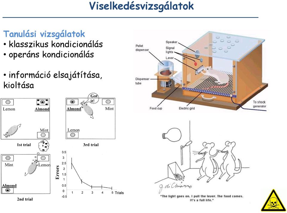 kondicionálás operáns