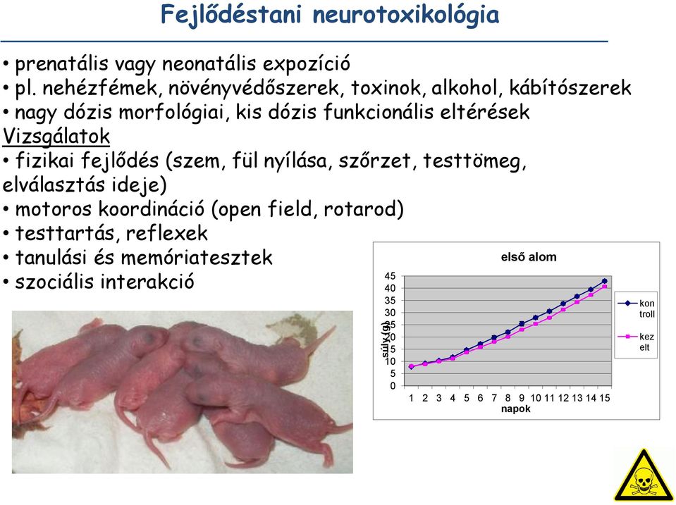 Vizsgálatok fizikai fejlődés (szem, fül nyílása, szőrzet, testtömeg, elválasztás ideje) motoros koordináció (open field,