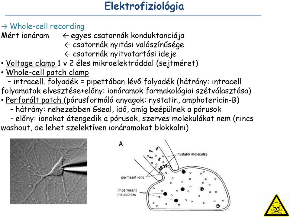 folyadék = pipettában lévő folyadék (hátrány: intracell folyamatok elvesztése+előny: ionáramok farmakológiai szétválasztása) Perforált patch