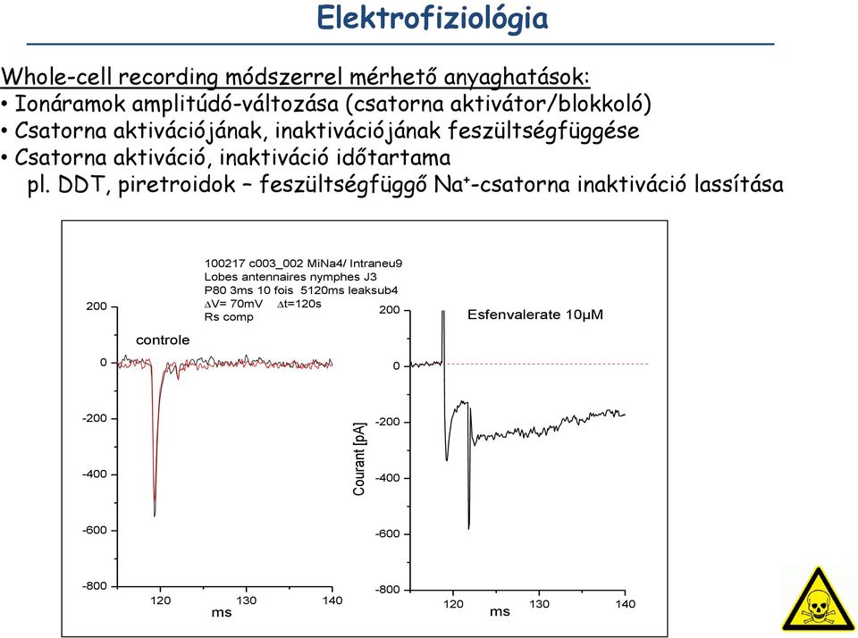 DDT, piretroidok feszültségfüggő Na + -csatorna inaktiváció lassítása 200 100217 c003_002 MiNa4/ Intraneu9 Lobes antennaires nymphes J3