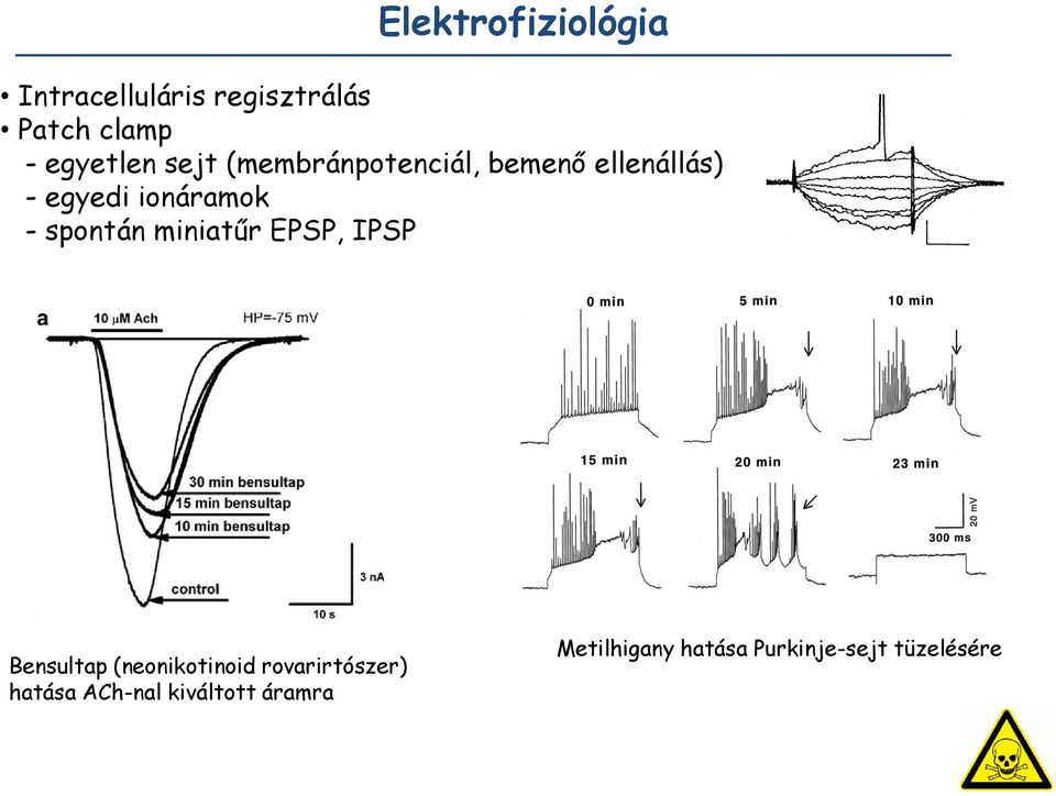 spontán miniatűr EPSP, IPSP Bensultap (neonikotinoid rovarirtószer)