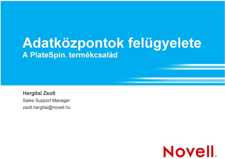 Hargitai Zsolt Sales