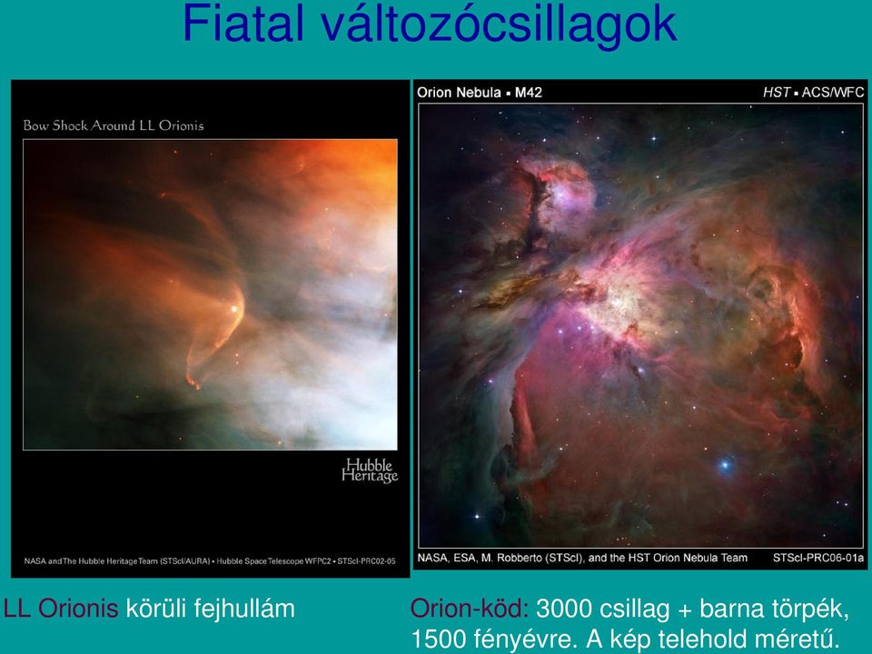 köd: 3000 csillag + barna