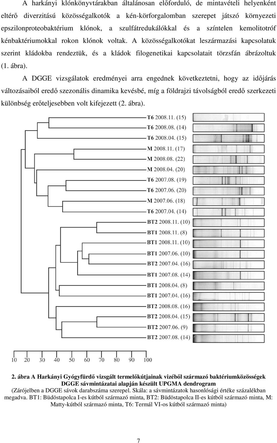 A közösségalkotókat leszármazási kapcsolatuk szerint kládokba rendeztük, és a kládok filogenetikai kapcsolatait törzsfán ábrázoltuk (1. ábra).