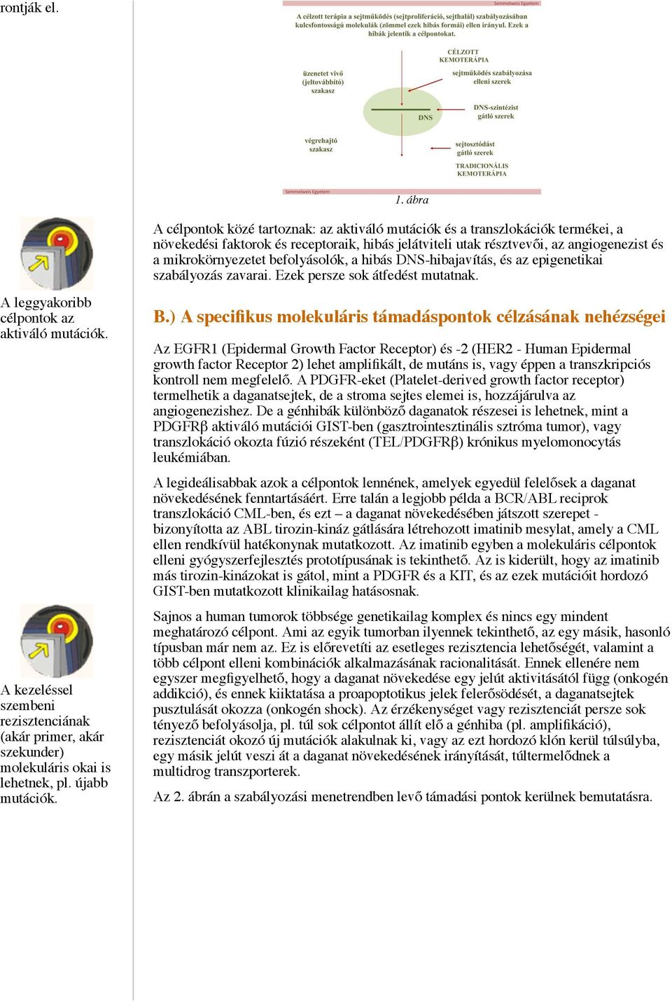 befolyásolók, a hibás DNS-hibajavítás, és az epigenetikai szabályozás zavarai. Ezek persze sok átfedést mutatnak. A leggyakoribb célpontok az aktiváló mutációk.