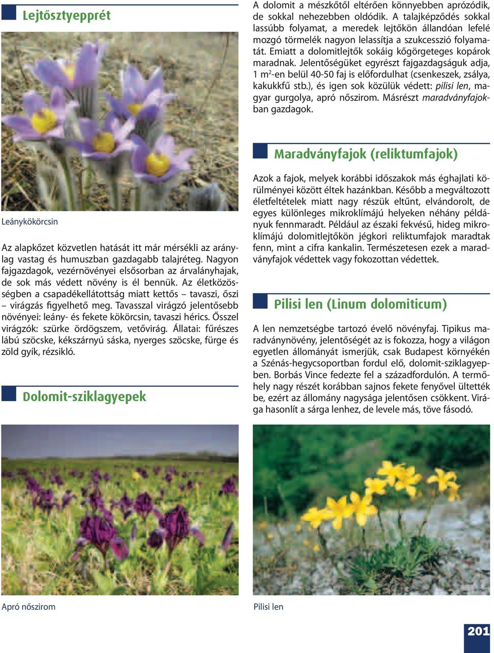 Jelentőségüket egyrészt fajgazdagságuk adja, 1 m 2 -en belül 40-50 faj is előfordulhat (csenkeszek, zsálya, kakukkfű stb.), és igen sok közülük védett: pilisi len, magyar gurgolya, apró nőszirom.