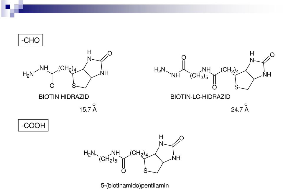 BITI-LC-HIDRAZID 15.7 A 24.