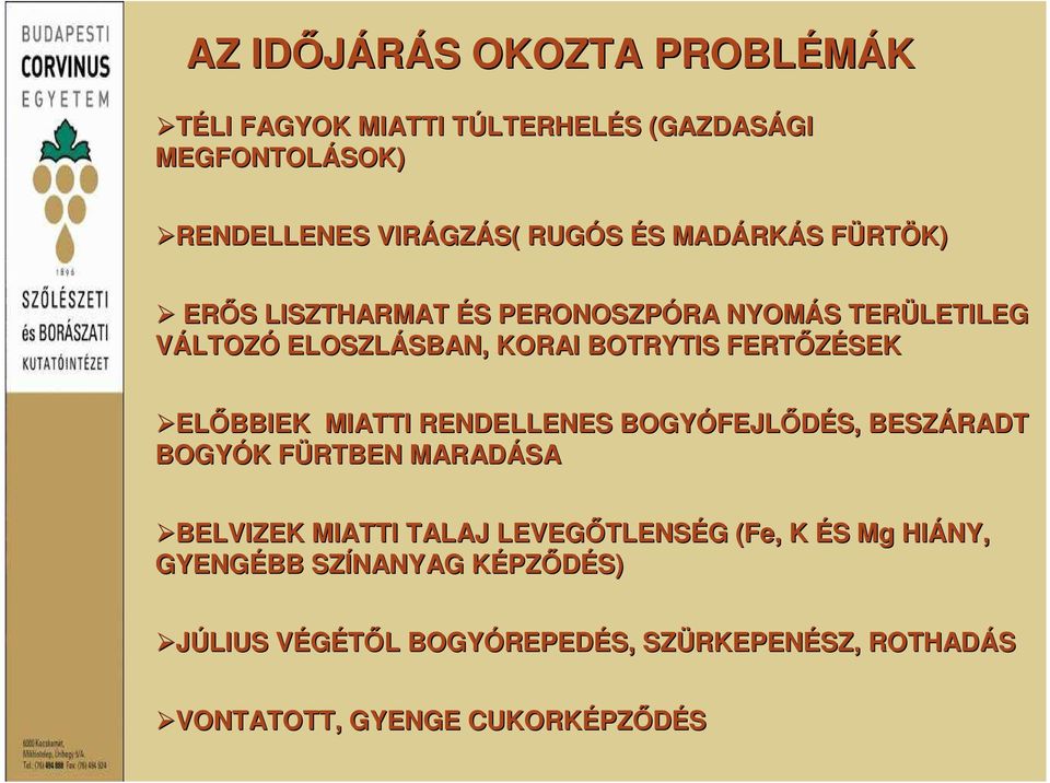 ELŐBBIEK MIATTI RENDELLENES BOGYÓFEJL FEJLŐDÉS, BESZÁRADT BOGYÓK K FÜRTBEN F MARADÁSA BELVIZEK MIATTI TALAJ LEVEGŐTLENS TLENSÉG G (Fe( Fe,, K