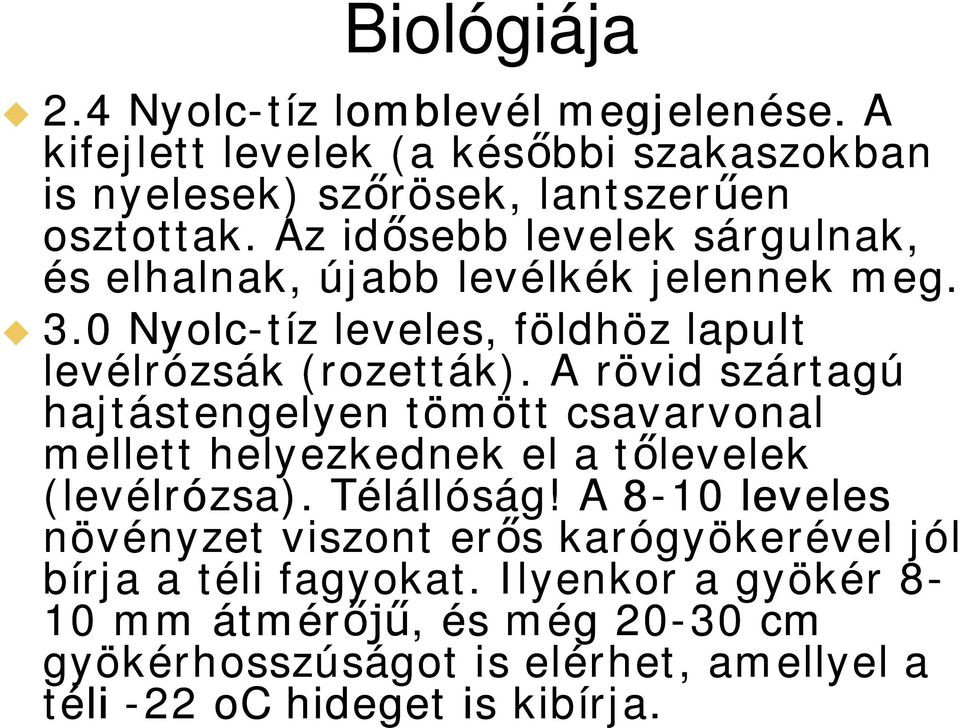 A rövid szártagú hajtástengelyen tömött csavarvonal mellett helyezkednek el a t levelek (levélrózsa). Télállóság!
