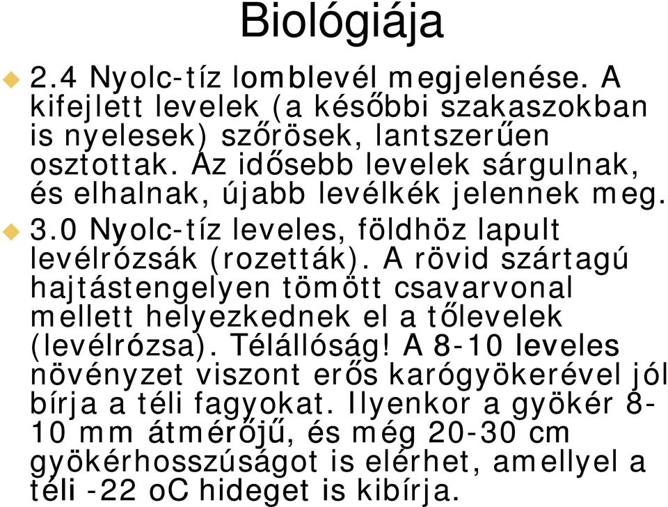 A rövid szártagú hajtástengelyen tömött csavarvonal mellett helyezkednek el a t levelek (levélrózsa). Télállóság!