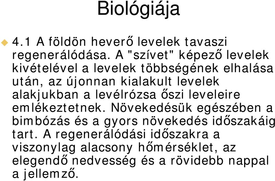 levelek alakjukban a levélrózsa szi leveleire emlékeztetnek.