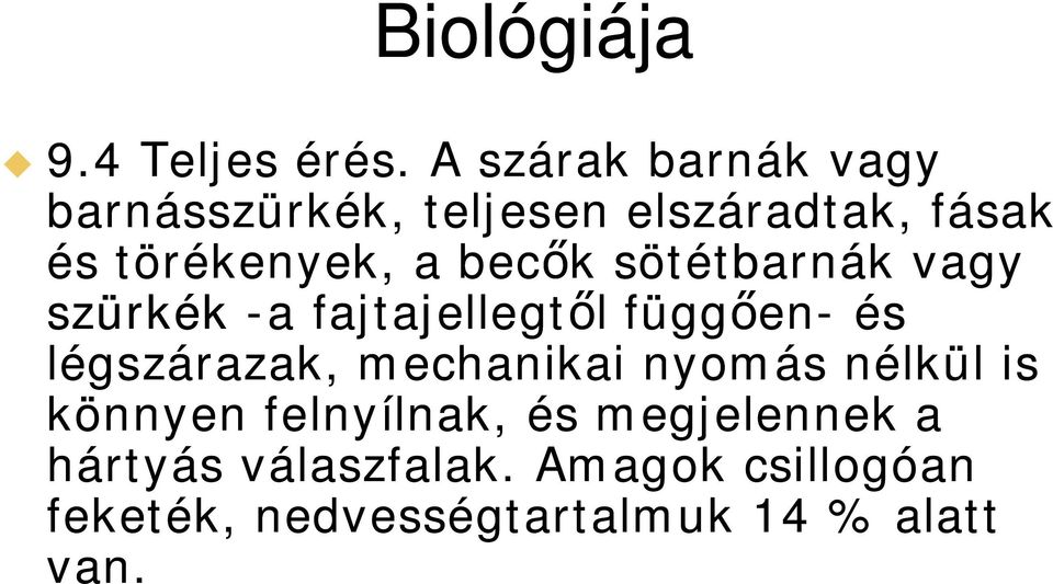 a bec k sötétbarnák vagy szürkék -a fajtajellegt l függ en- és légszárazak,