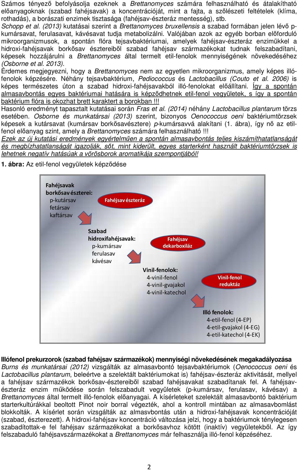 (2013) kutatásai szerint a Brettanomyces bruxellensis a szabad formában jelen lévő p- kumársavat, ferulasavat, kávésavat tudja metabolizálni.