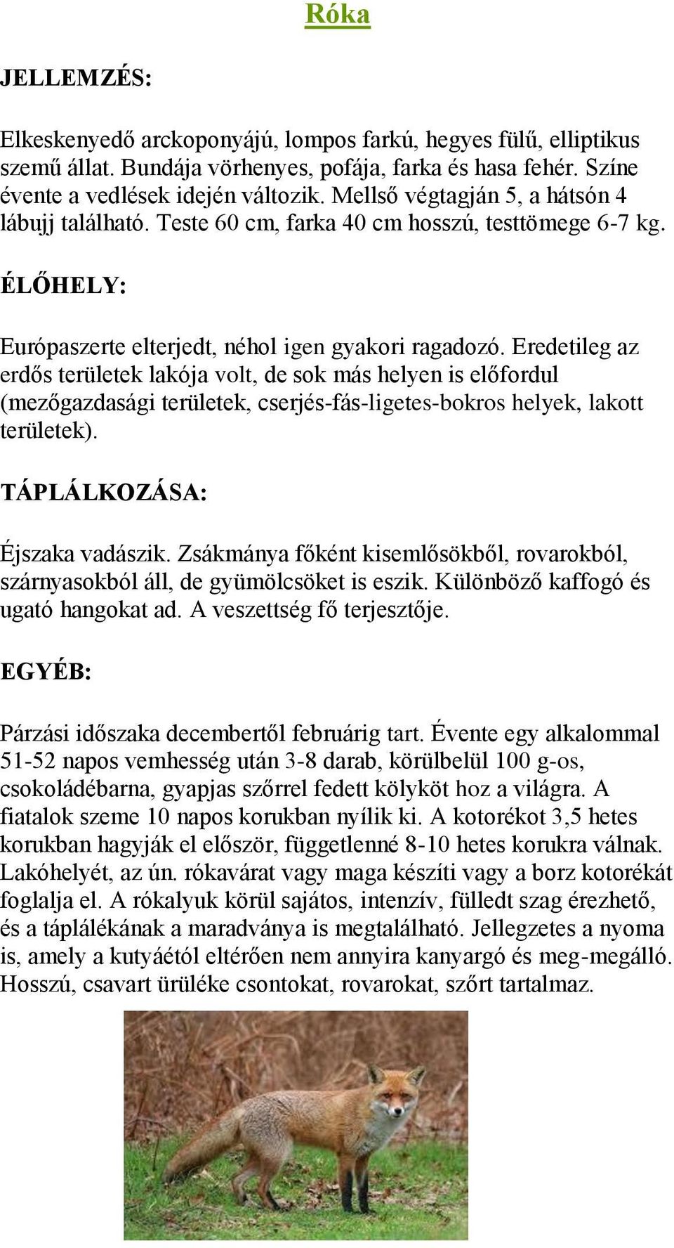 Eredetileg az erdős területek lakója volt, de sok más helyen is előfordul (mezőgazdasági területek, cserjés-fás-ligetes-bokros helyek, lakott területek). Éjszaka vadászik.