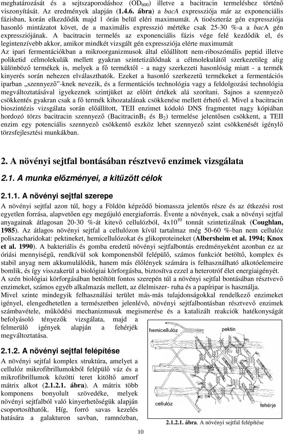 A bacitracin termelés az exponenciális fázis vége felé kezd dik el, és legintenzívebb akkor, amikor mindkét vizsgált gén expressziója elérte maximumát Az ipari fermentációkban a mikroorganizmusok