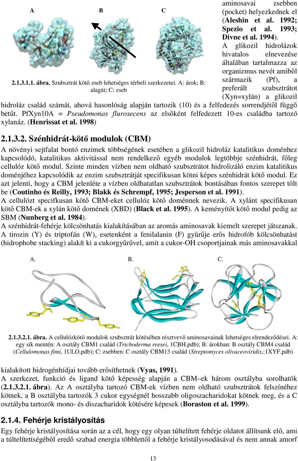 A: árok; B: származik (Pf), a alagút; C: zseb preferált szubsztrátot (Xyn=xylán) a glikozil hidroláz család számát, ahová hasonlóság alapján tartozik (10) és a felfedezés sorrendjét l függ bet t.