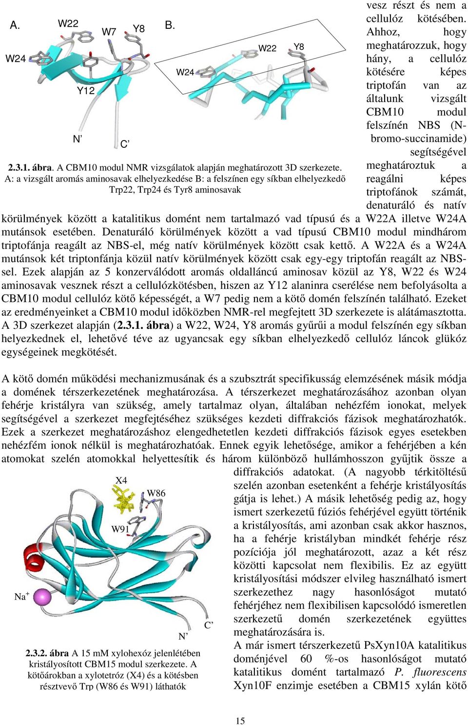 A CBM10 modul NMR vizsgálatok alapján meghatározott 3D szerkezete.