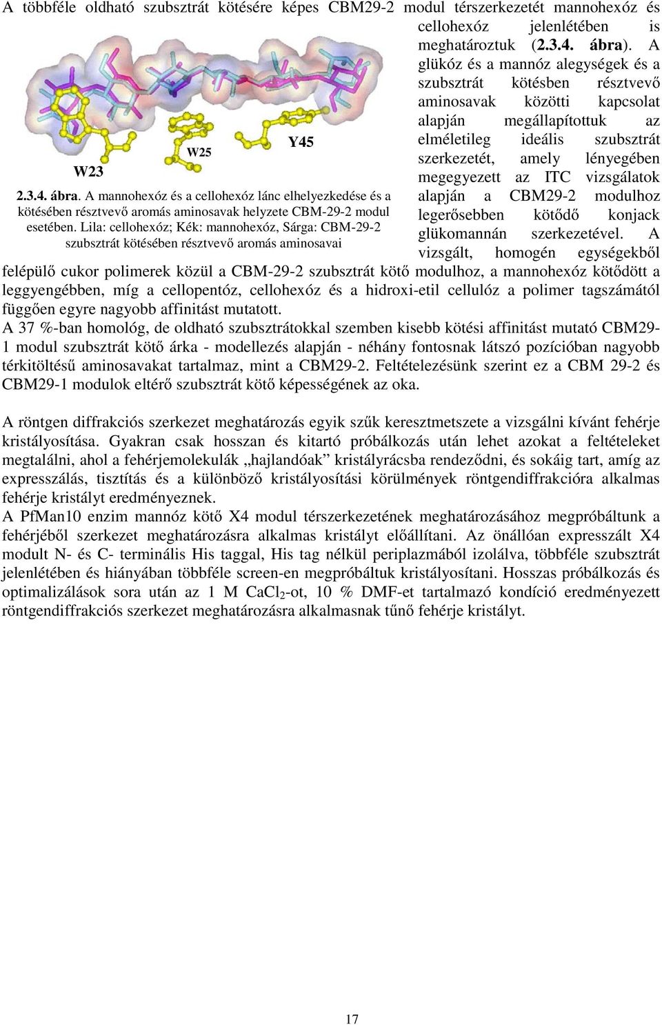 A mannohexóz és a cellohexóz lánc elhelyezkedése és a kötésében résztvev aromás aminosavak helyzete CBM-29-2 modul esetében.
