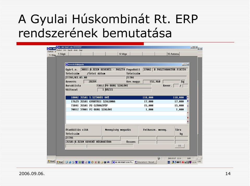 ERP rendszerének