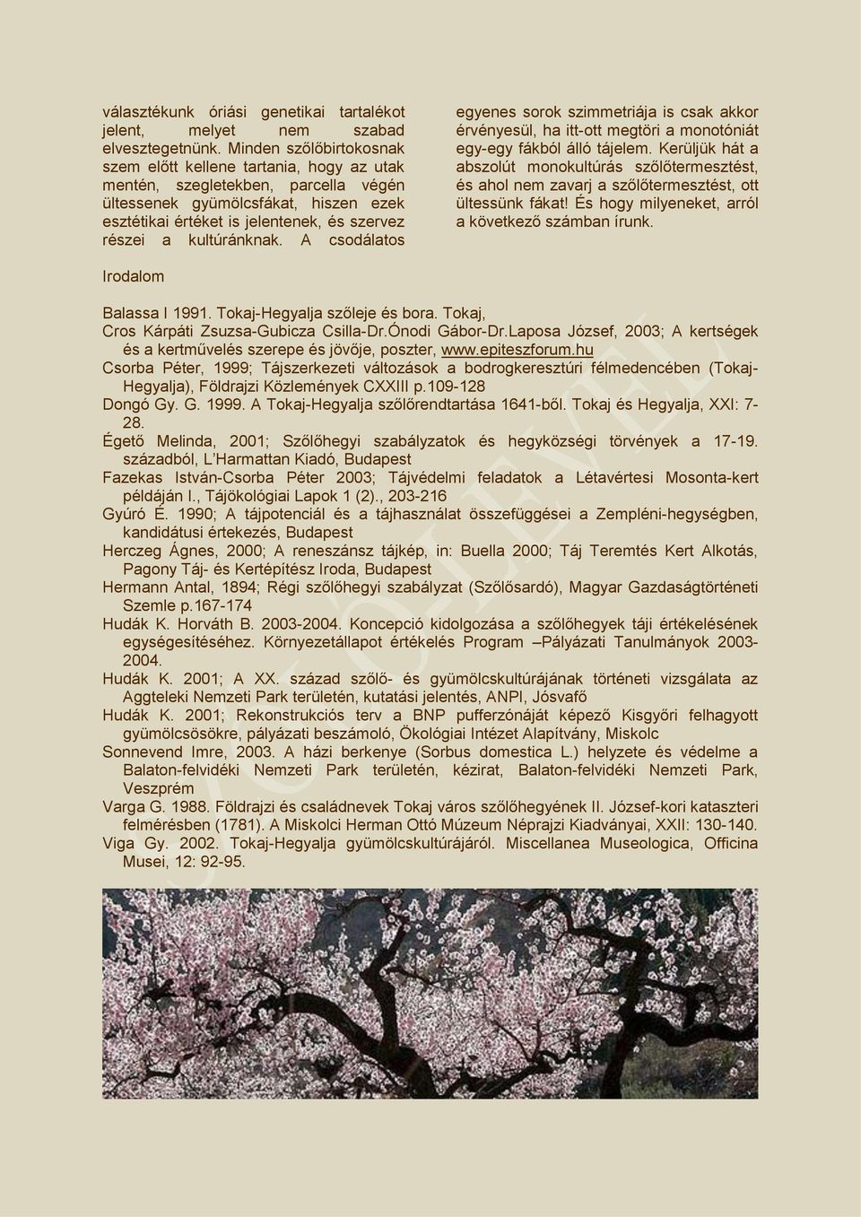 kultúránknak. A csodálatos egyenes sorok szimmetriája is csak akkor érvényesül, ha itt-ott megtöri a monotóniát egy-egy fákból álló tájelem.
