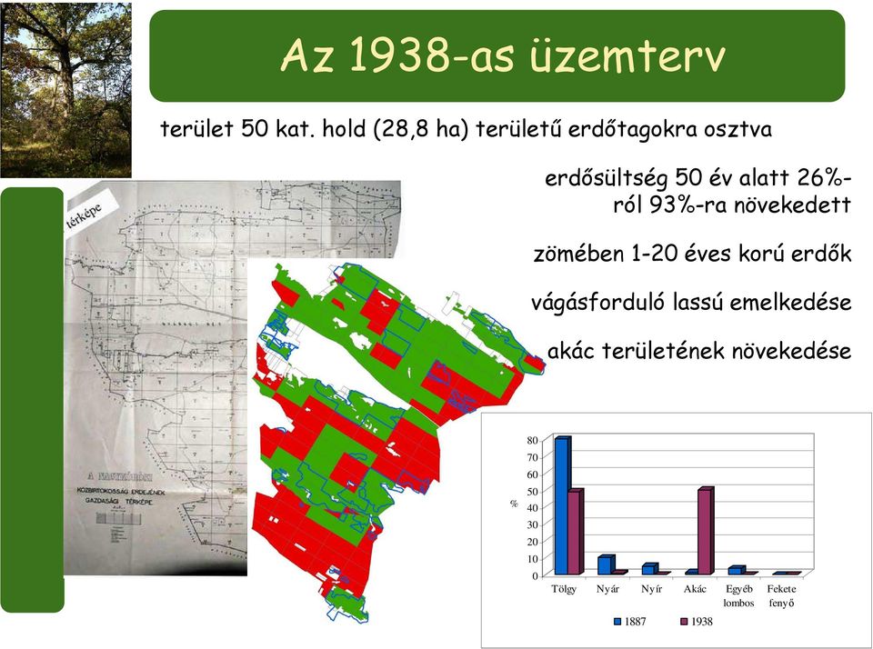 93%-ra növekedett zömében 1-20 éves korú erdők vágásforduló lassú