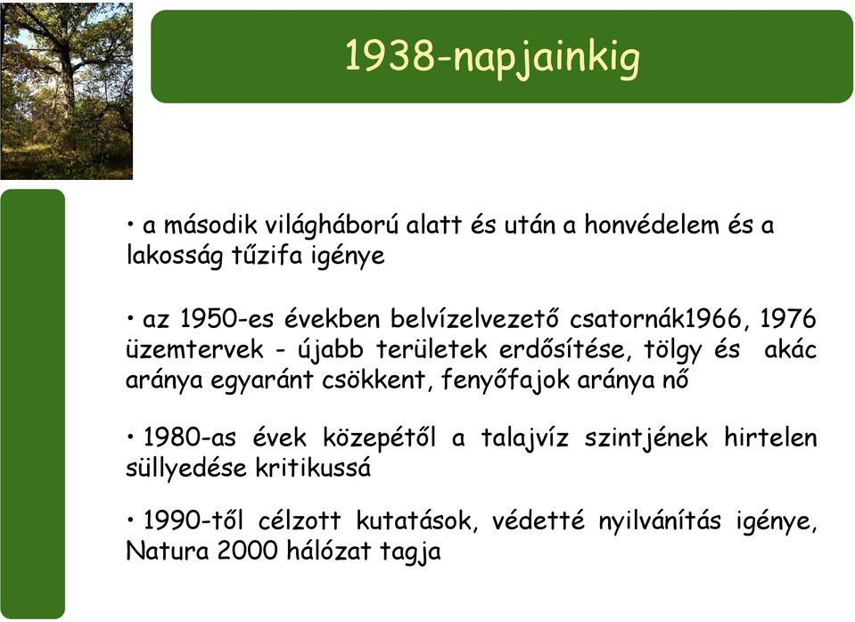 akác aránya egyaránt csökkent, fenyőfajok aránya nő 1980-as évek közepétől a talajvíz szintjének