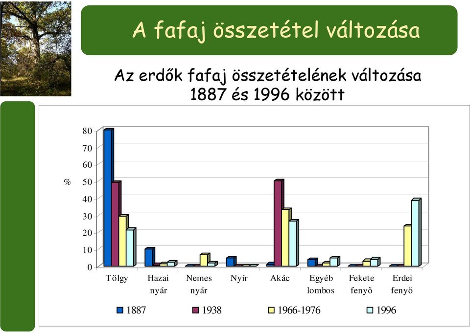 % 50 40 30 20 10 0 Tölgy Hazai nyár Nemes nyár Nyír