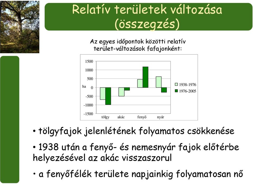 tölgy akác fenyő nyár tölgyfajok jelenlétének folyamatos csökkenése 1938 után a fenyő- és