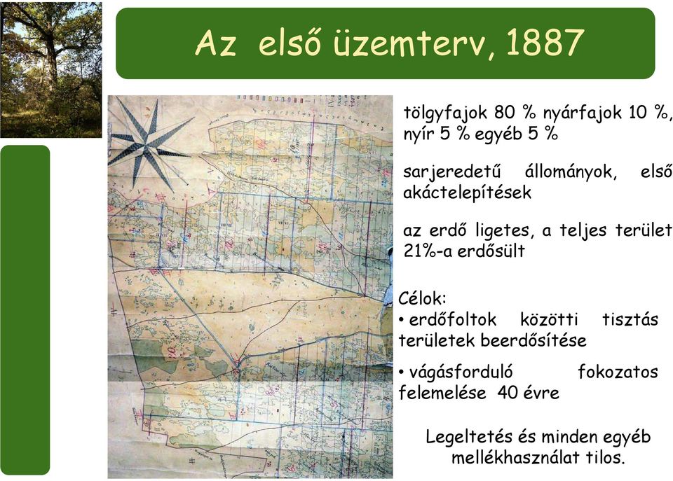 21%-a erdősült Célok: erdőfoltok közötti tisztás területek beerdősítése