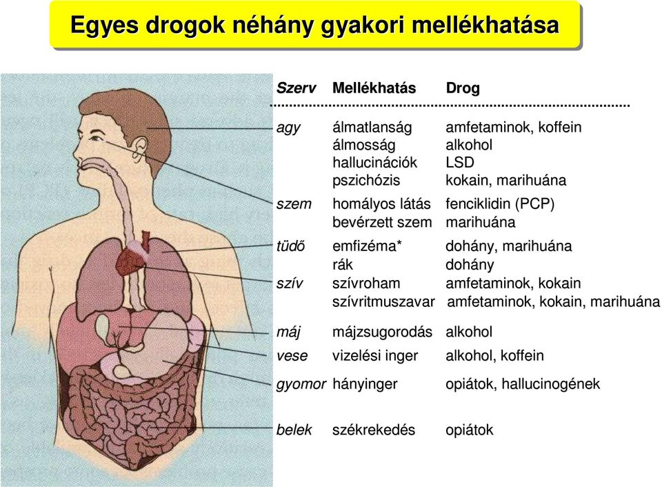 LSD kokain, marihuána fenciklidin (PCP) marihuána dohány, marihuána dohány amfetaminok,, kokain amfetaminok,, kokain, marihuána