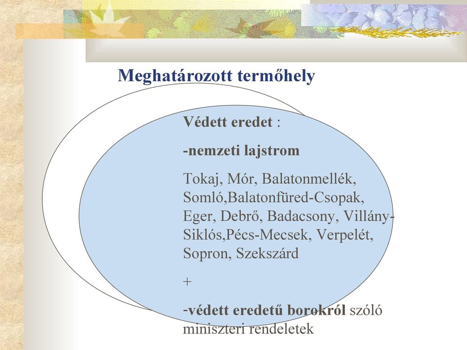 Debrő, Badacsony, Villány- Siklós,Pécs-Mecsek, Verpelét,