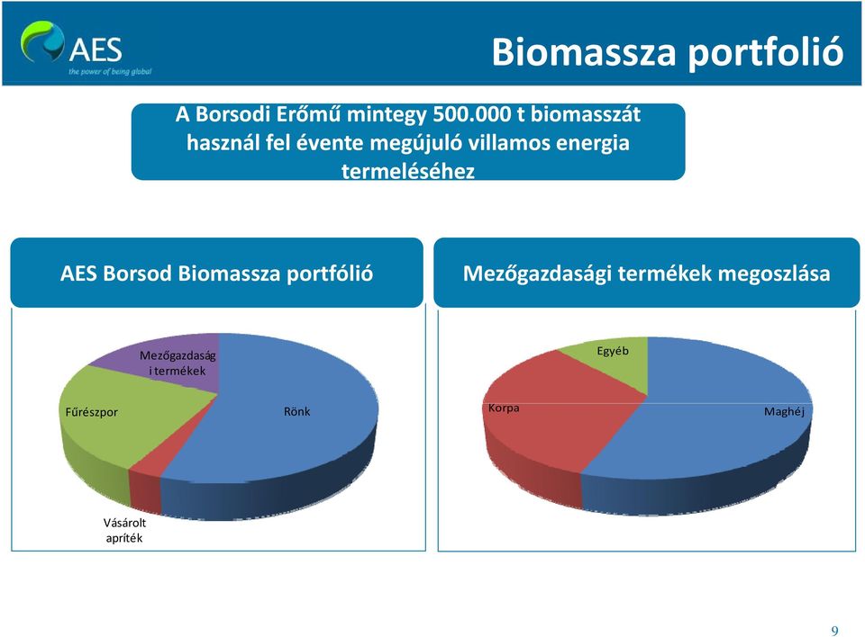 termeléséhez Biomassza portfolió AES Borsod Biomassza portfólió