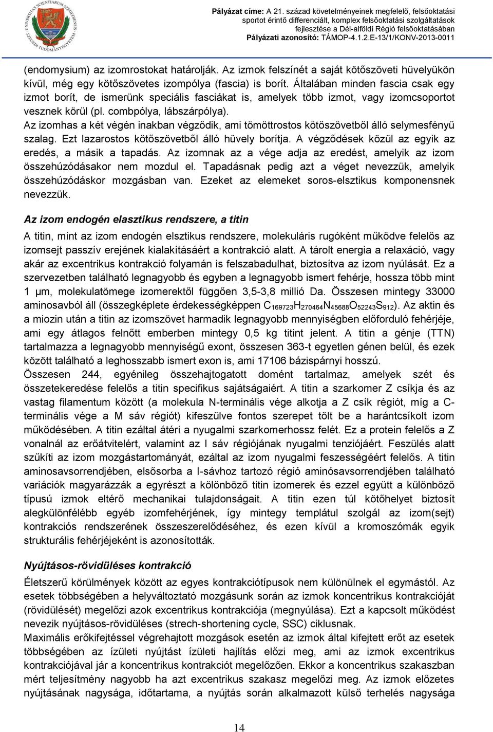 Az izomhas a két végén inakban végződik, ami tömöttrostos kötőszövetből álló selymesfényű szalag. Ezt lazarostos kötőszövetből álló hüvely borítja.