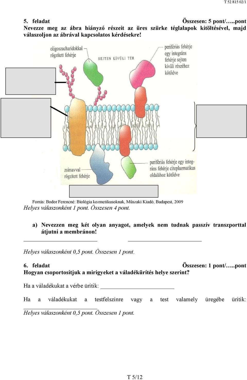 a) Nevezzen meg két olyan anyagot, amelyek nem tudnak passzív transzporttal átjutni a membránon! Helyes válaszonként 0,5 pont. Összesen 1 pont. 6. feladat Összesen: 1 pont/.